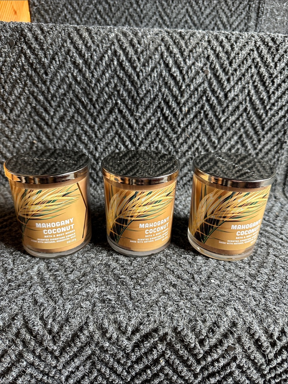 Bath & Body Works Mahogany Coconut Single Wick Candle